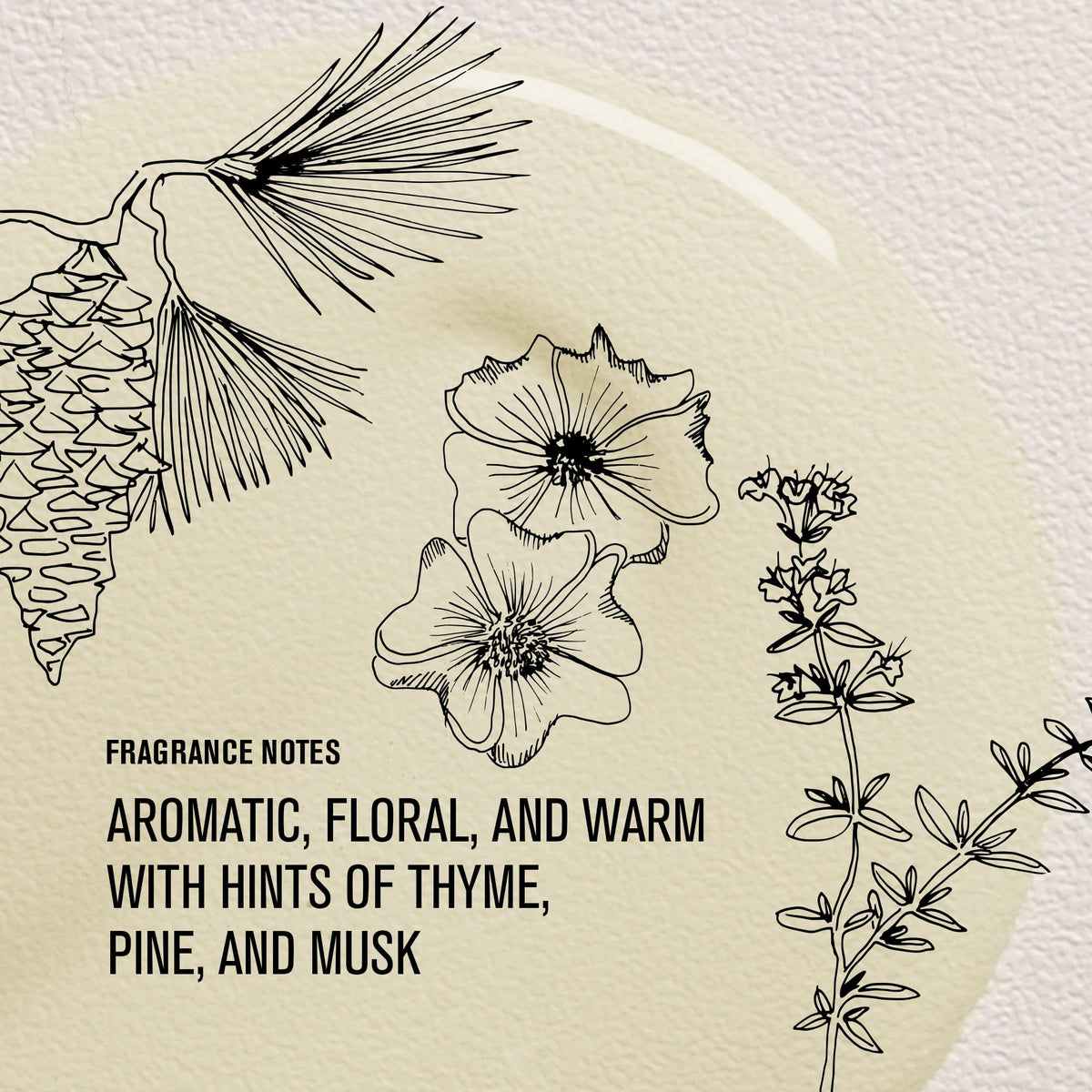 Davines anti frizz hair oil for dry and coarse hair