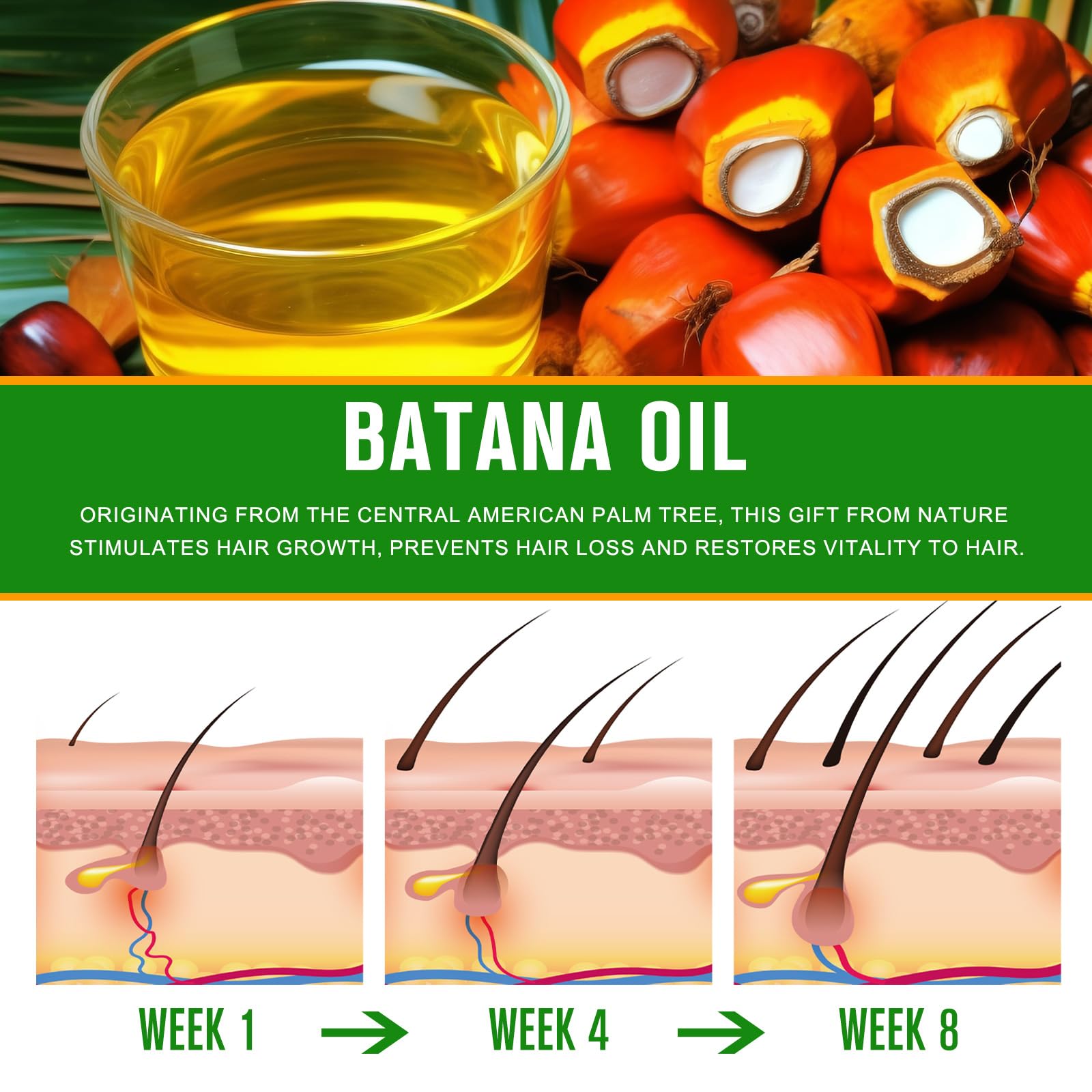 Authentic imported Batana oil packaging showing ingredients and directions