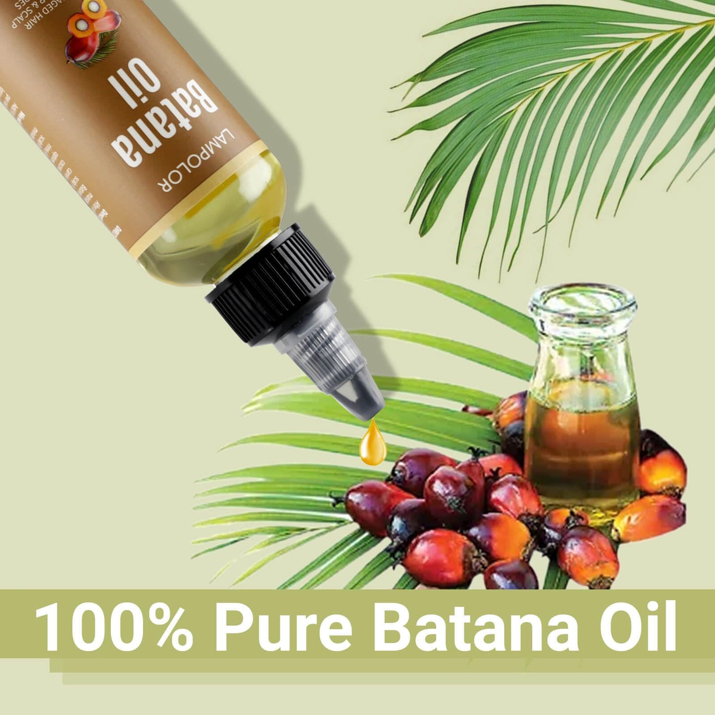 Lampolar 60ml batana oil packaging highlighting organic ingredients for thicker hair