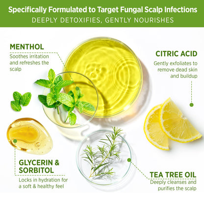 Texture shot of Roycederm tea tree scalp scrub