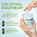 Roycederm scalp scrub jar back view ingredients and usage