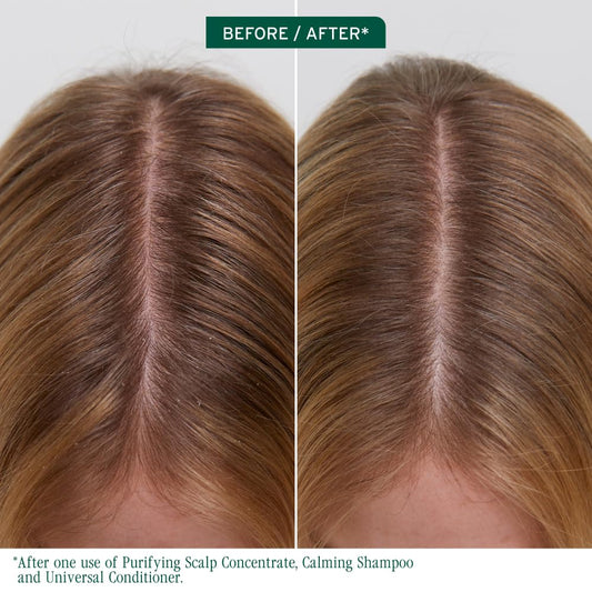 Biolage Scalp Sync purifying treatment label details
