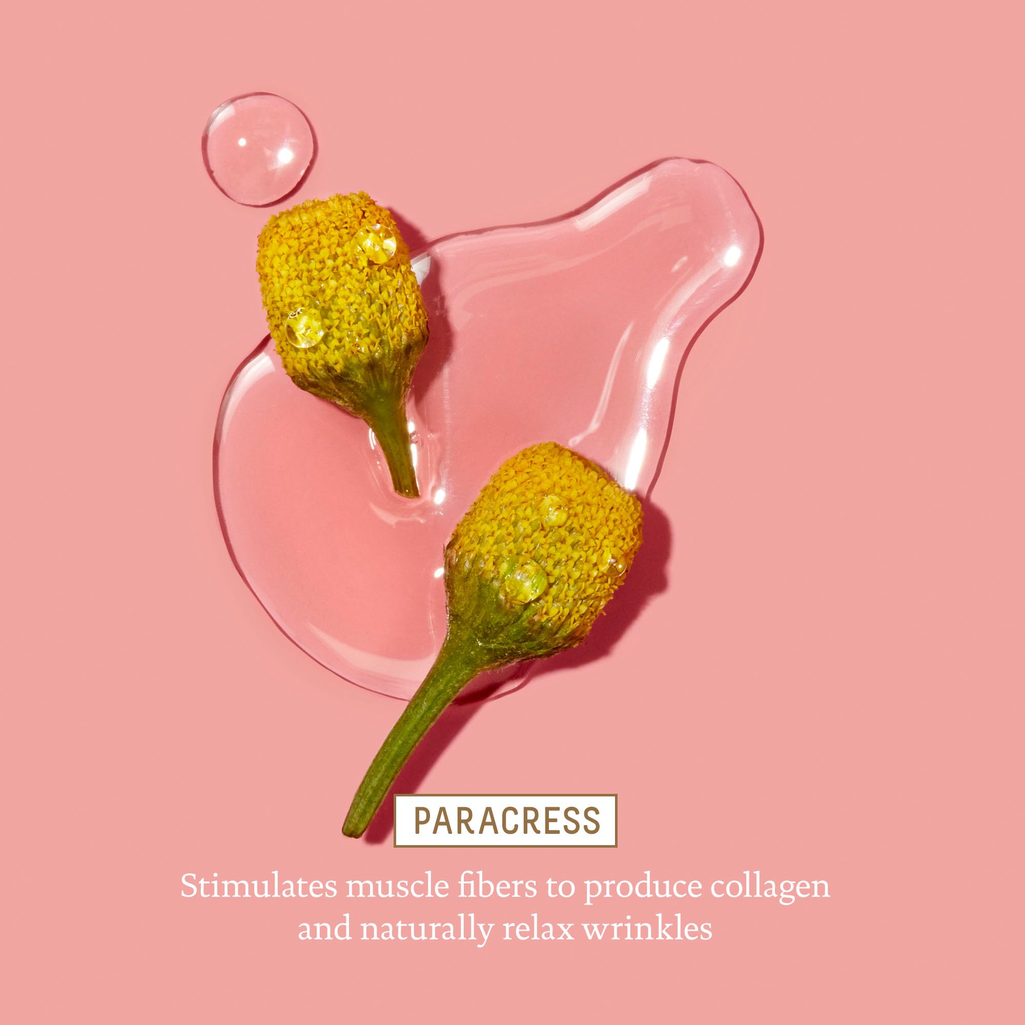 Biossance Squalane and Marine Algae Eye Cream ingredient focus