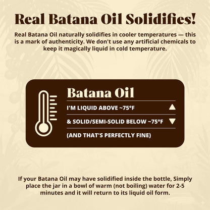 Vital Strands organic Batana oil glass dropper close up