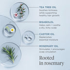 Briogeo Scalp Revival Rosemary Pre-Wash Oil ingredient highlights