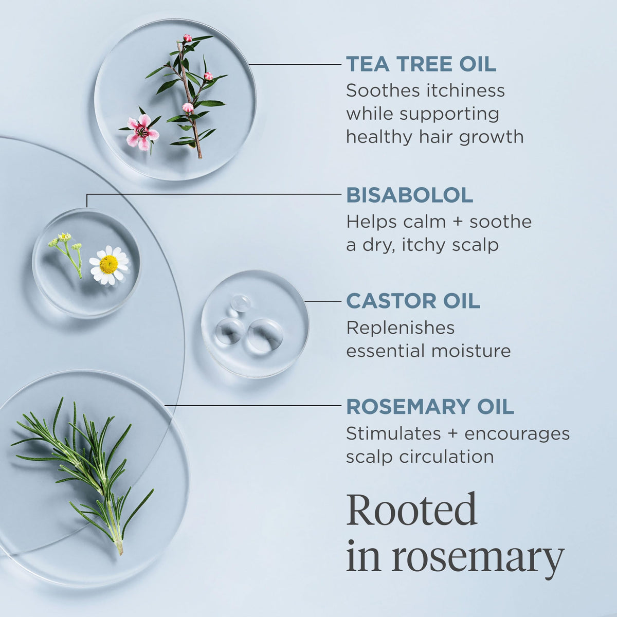Briogeo Scalp Revival Rosemary Pre-Wash Oil ingredient highlights