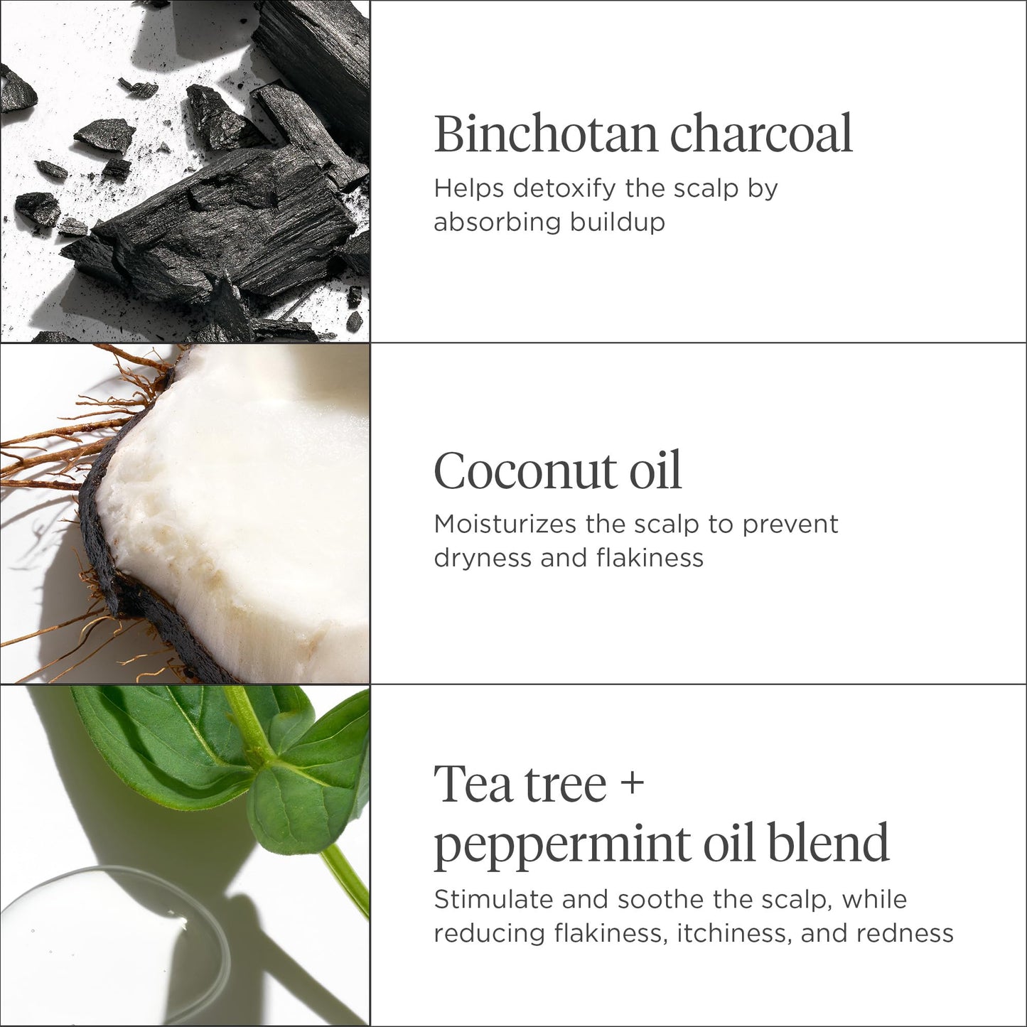 Briogeo scalp scrub packaging details and size