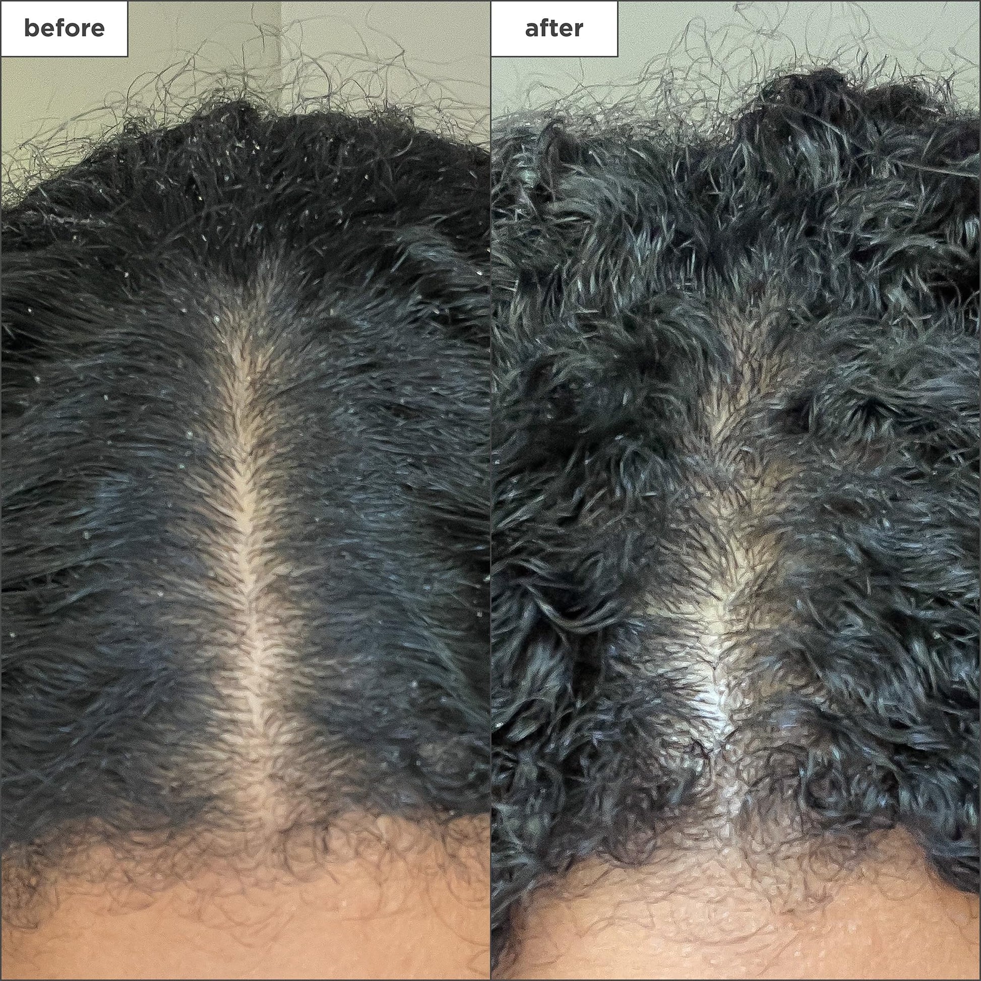 Scalp Revival shampoo application process on wet hair