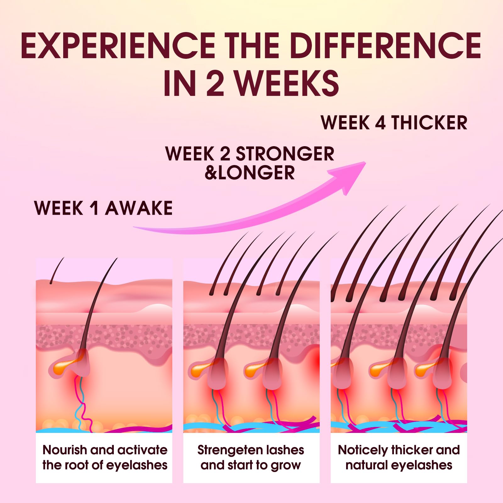Close up of Biysber eyelash serum formula benefits