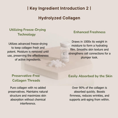 Korean skincare exosome and PDRN booster kit