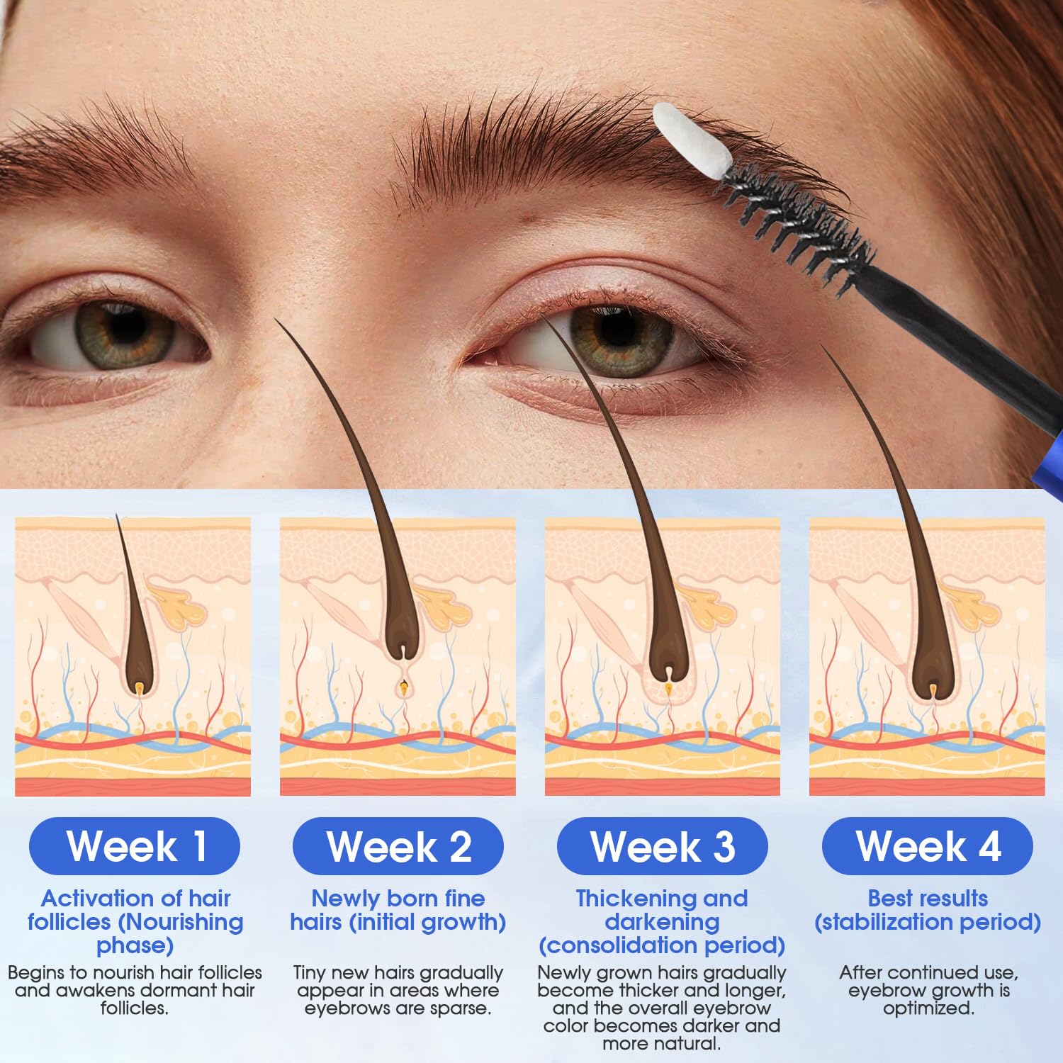 Close up of plant extract brow serum dual applicator