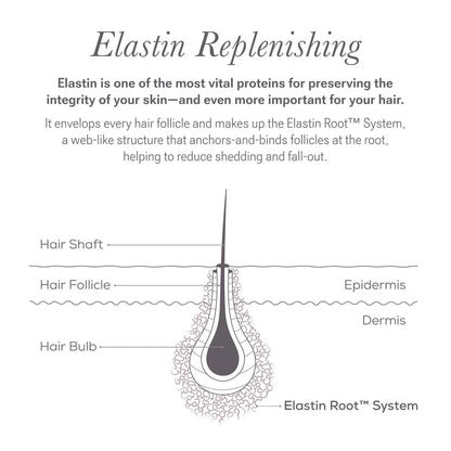 Nulastin professional eyebrow shaping serum for fuller look