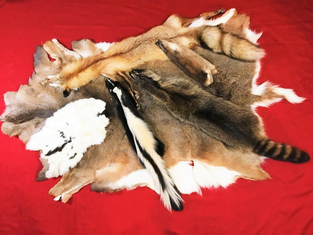 Melby Outdoors Fur Tanning Kit contents including scraper and bottles.