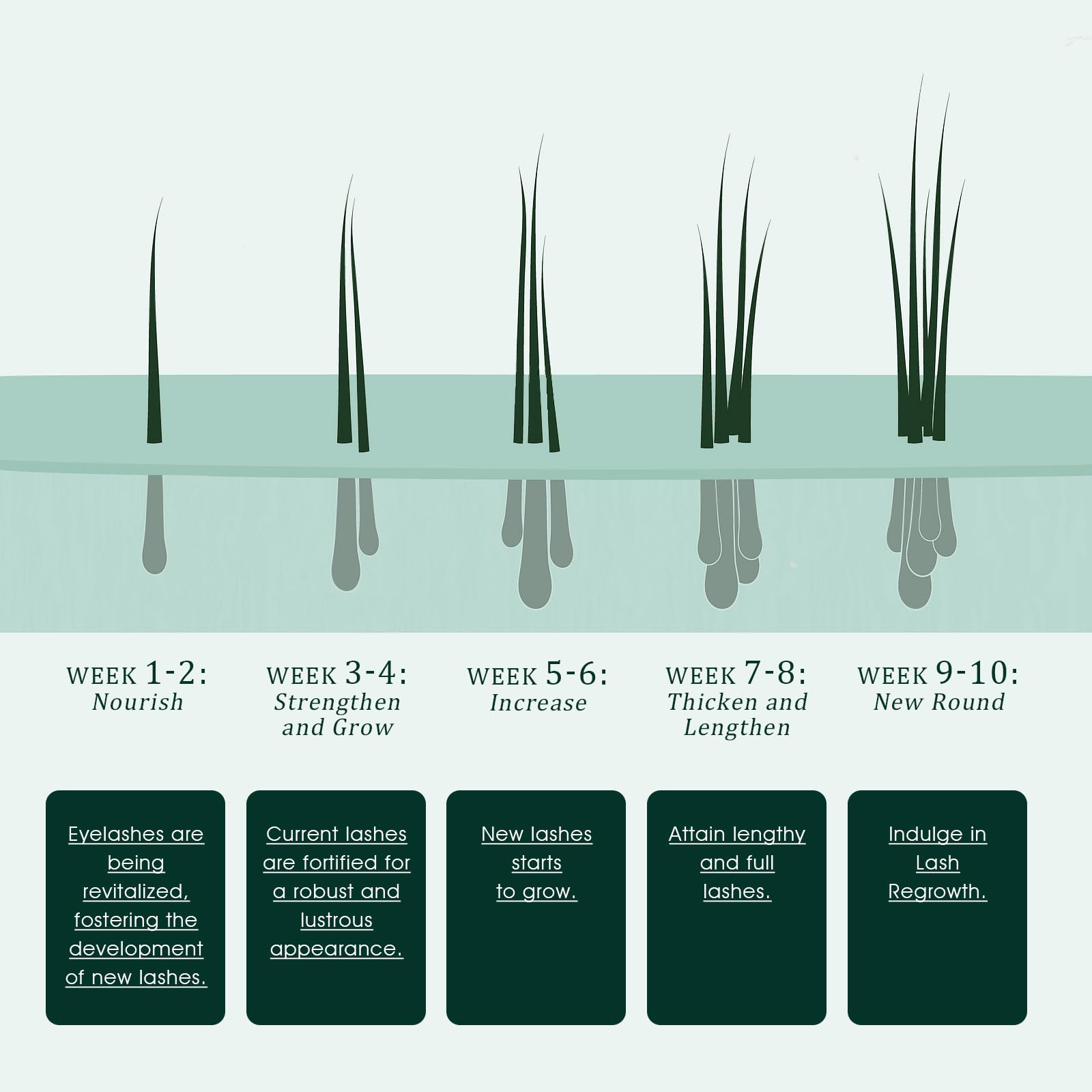 Side view of TUDPA 3 milliliters lash density growth treatment