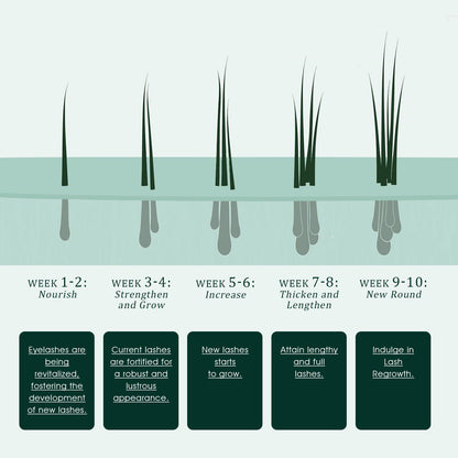 Side view of TUDPA 3 milliliters lash density growth treatment