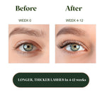Gajaco organic castor oil bottle with mascara wand and eyeliner brush