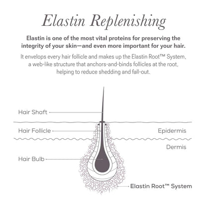 NULASTIN professional lash and brow enhancer kit close up