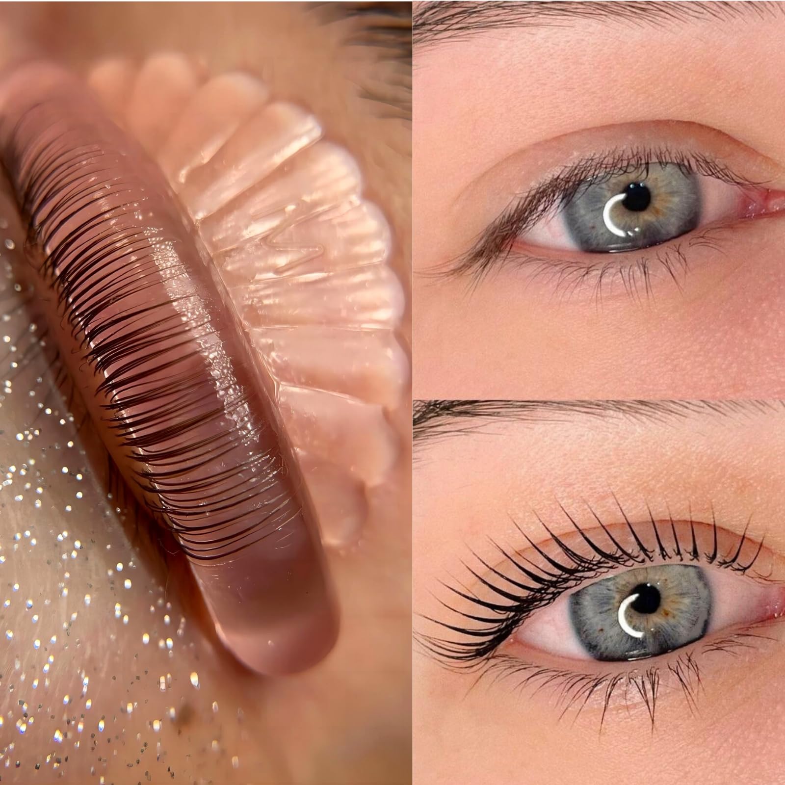 Five different sizes of pink seashell shaped self sticky eyelash lifting shields displayed together