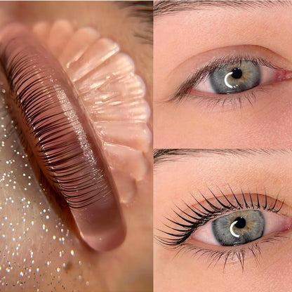 Five different sizes of pink seashell shaped self sticky eyelash lifting shields displayed together