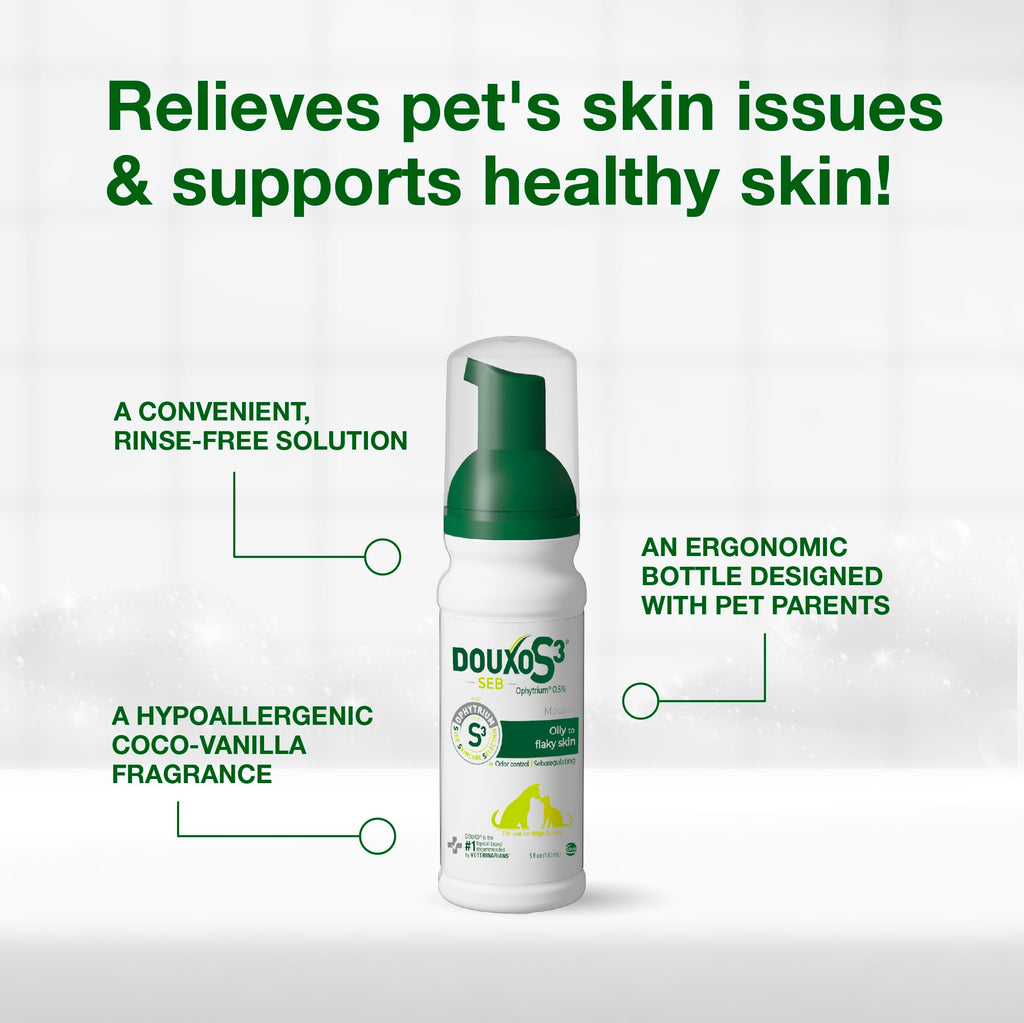 Applying Douxo S3 Seb Mousse to a dog coat
