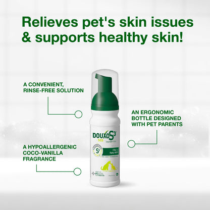 Applying Douxo S3 Seb Mousse to a dog coat