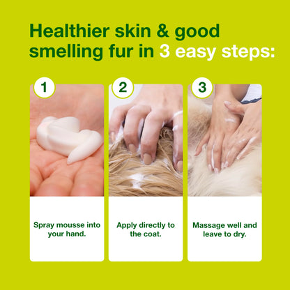 Douxo S3 Seb Mousse for odor control and seboregulating