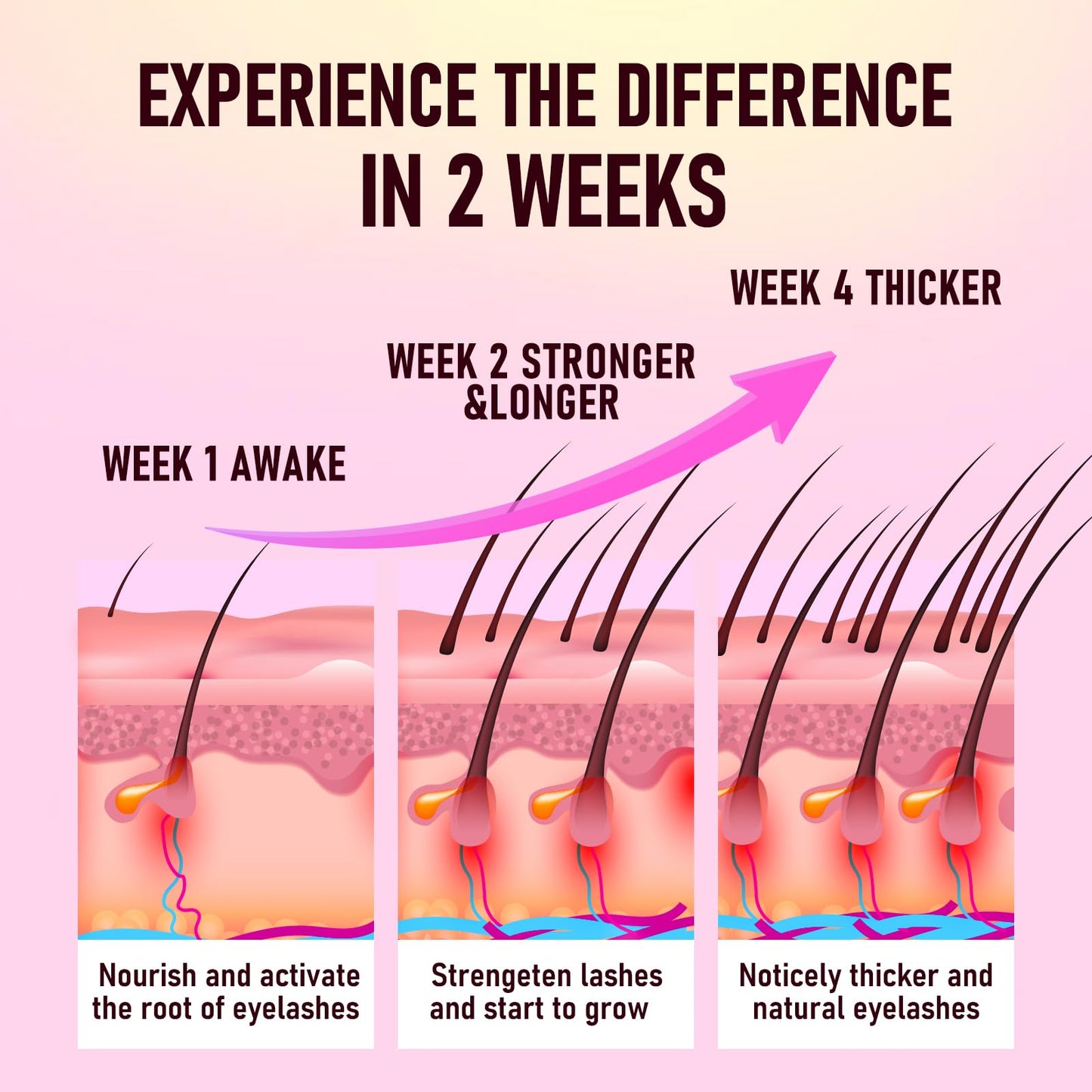 Biysber lash serum box packaging with ingredients and instructions
