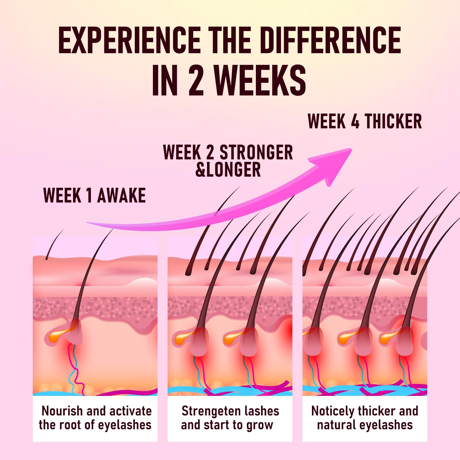 Biysber lash serum box packaging with ingredients and instructions