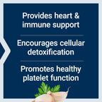 Supplement facts label showing 1200 mg garlic extract with 10000 ppm allicin potential
