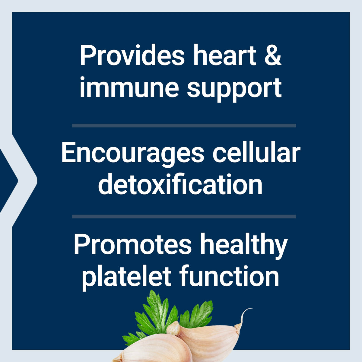 Supplement facts label showing 1200 mg garlic extract with 10000 ppm allicin potential