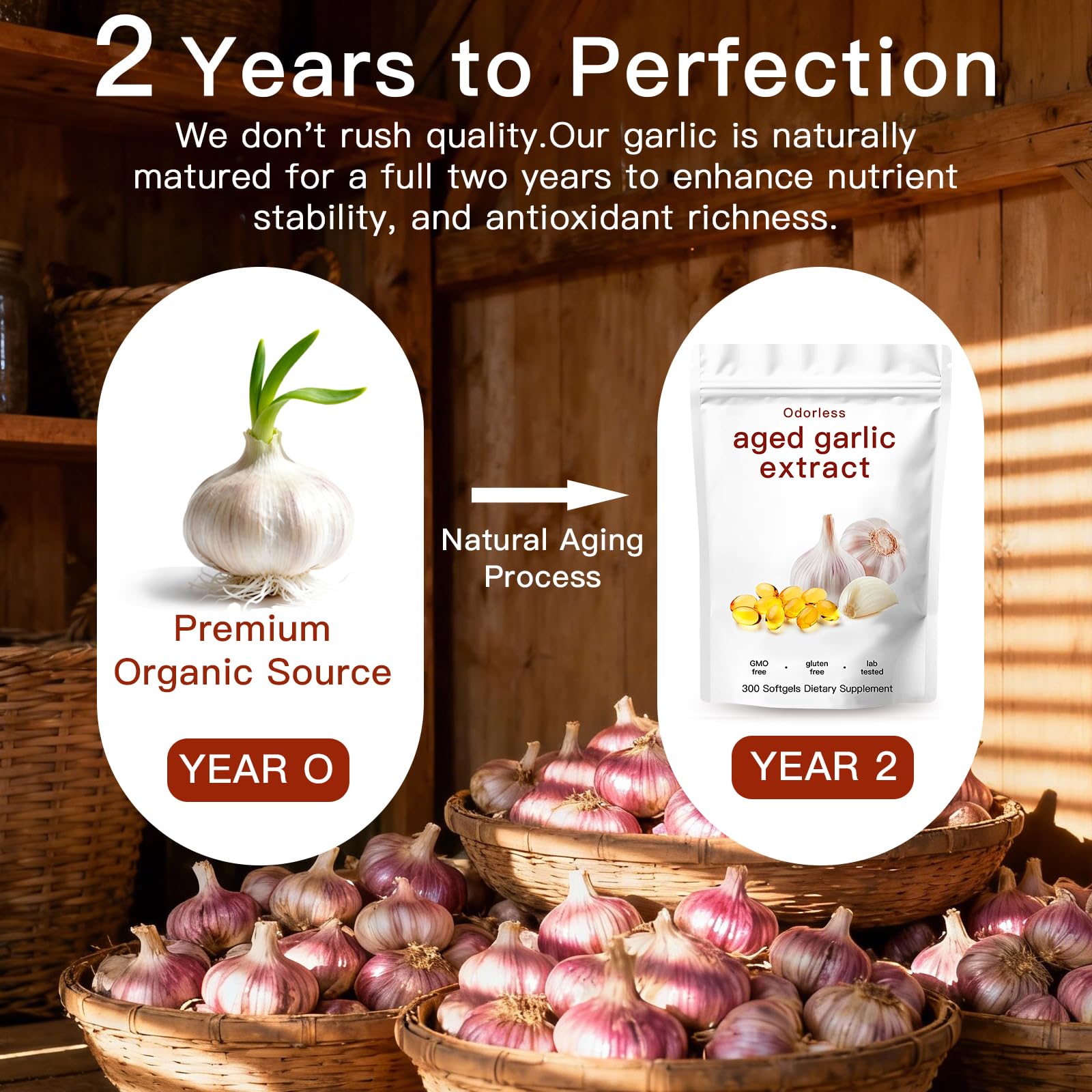 Odorless aged garlic extract 300 softgels packaging detailing immune defense benefits