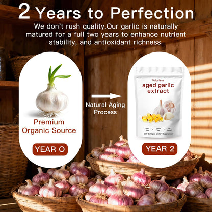 Odorless aged garlic extract 300 softgels packaging detailing immune defense benefits