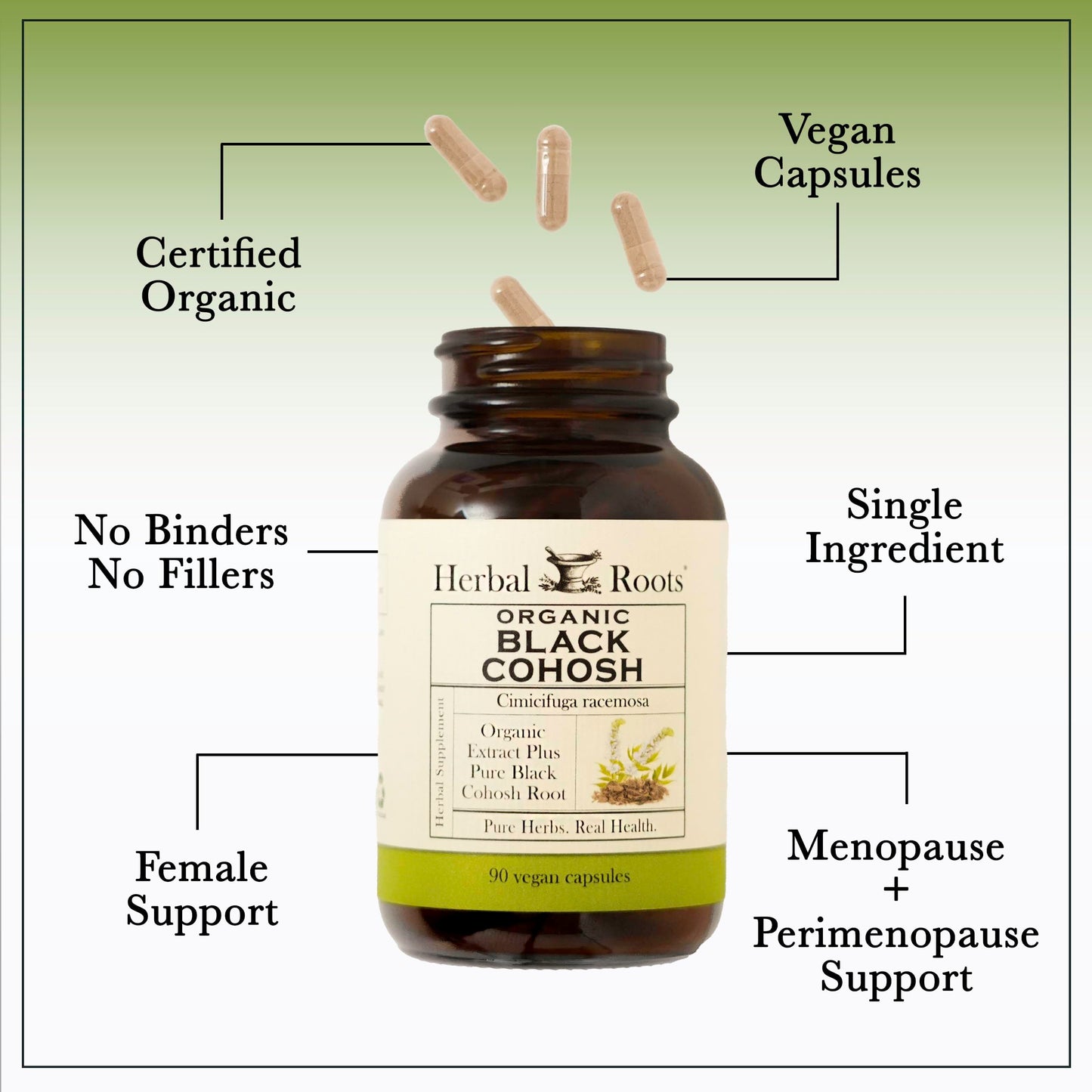 Supplement facts panel on Herbal Roots black cohosh bottle