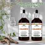 Non GMO gluten free calamus root glycerite for authentic dietary support