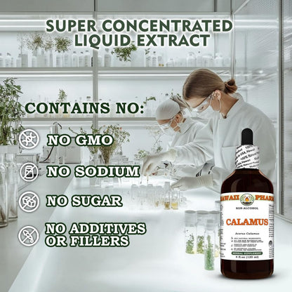 Hawaii Pharm Calamus root extract bottle showing secure packaging and seal