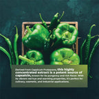 The complete packaging of the imported USA hot pepper botanical extract showcasing authenticity seals.