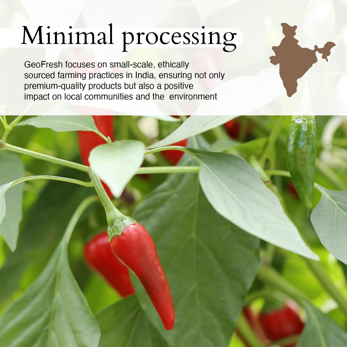 Finely ground fiery cayenne pepper spice showing its vibrant natural color.
