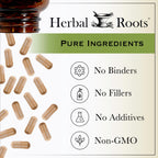 Herbal Roots certified organic apple cider vinegar capsules with no fillers seal
