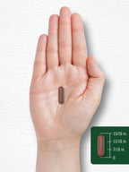 Rudra Retails imported Carlyle cayenne pepper capsules for Indian wellness enthusiasts