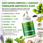 Authentic USA imported Ultra Herbs Rhodiola Rosea adaptogen blend for mental focus and cortisol control.