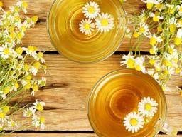 Finely ground yellowish-brown authentic German chamomile flower powder for herbal remedies
