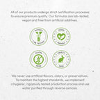 Secrets of the Tribe USA crafted organic cardamom capsules bottle standing on a clean background