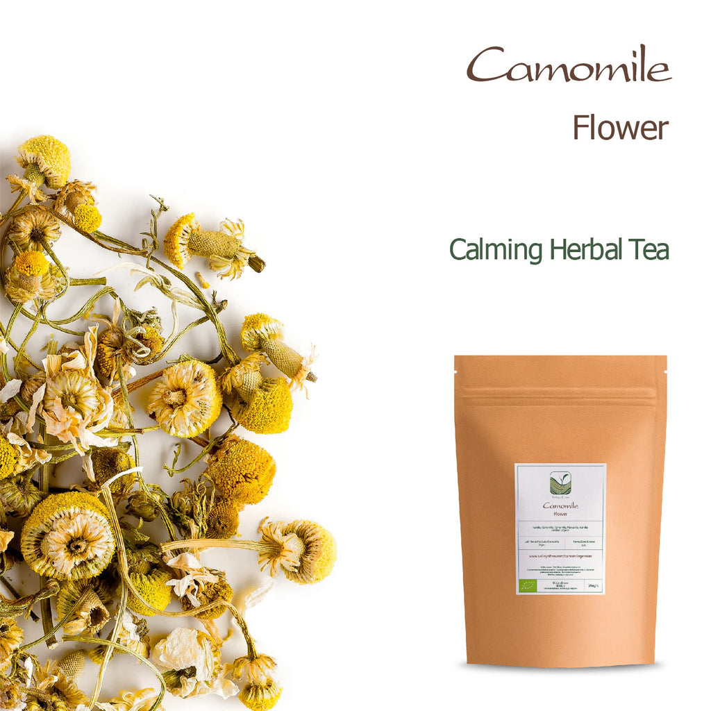 Brewed cup of organic chamomile tea alongside loose dried flowers representing relaxation.