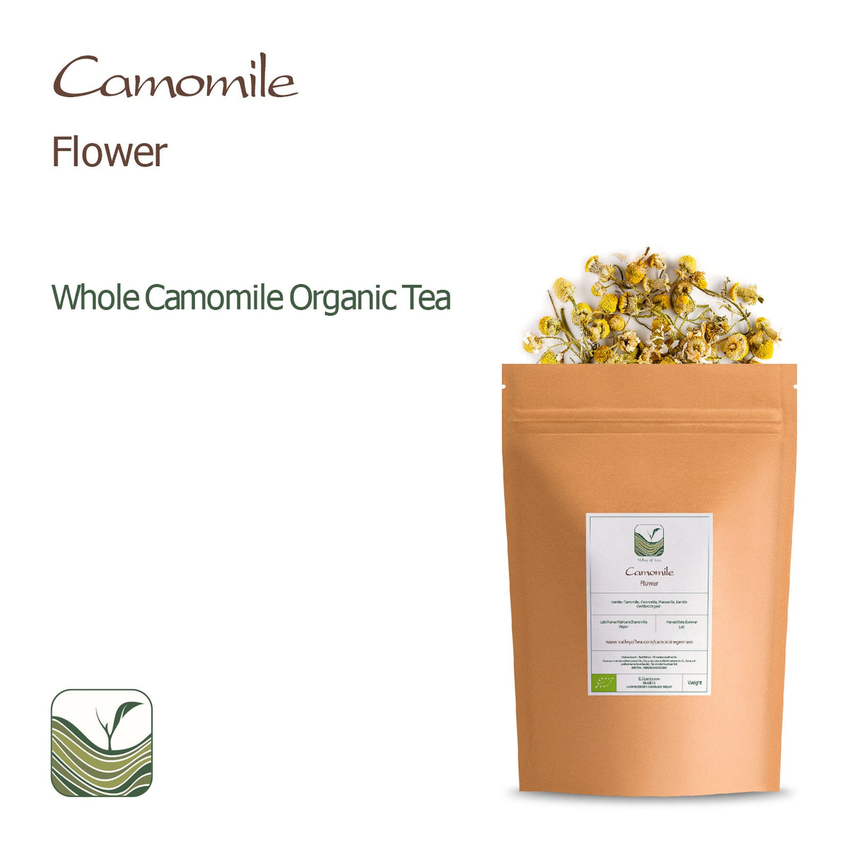 Close up view of premium organic loose chamomile flowers highlighting whole plant buds.