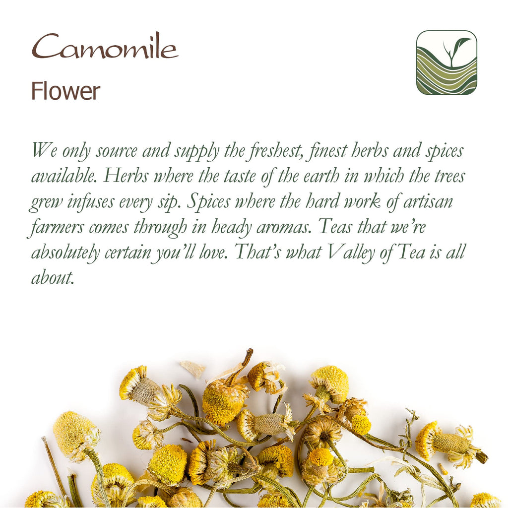 Steeping process of loose leaf chamomile flowers in a clear glass teapot with hot water.