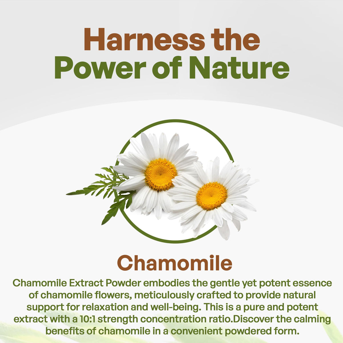 Premium herbal relaxation powder imported from USA for stress relief and sleep quality.