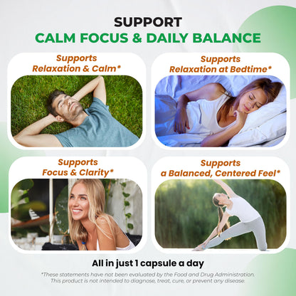Supplement facts label on Ultra Herbs L-Theanine showing magnesium and ashwagandha dosages
