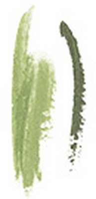 Close up of Mary Kay At Play Shadow and Liner Mint To Be dual ends
