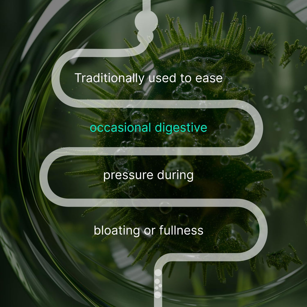 Authenta IBShield authentic imported wellness drops side view instructions