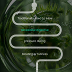 Authenta IBShield authentic imported wellness drops side view instructions